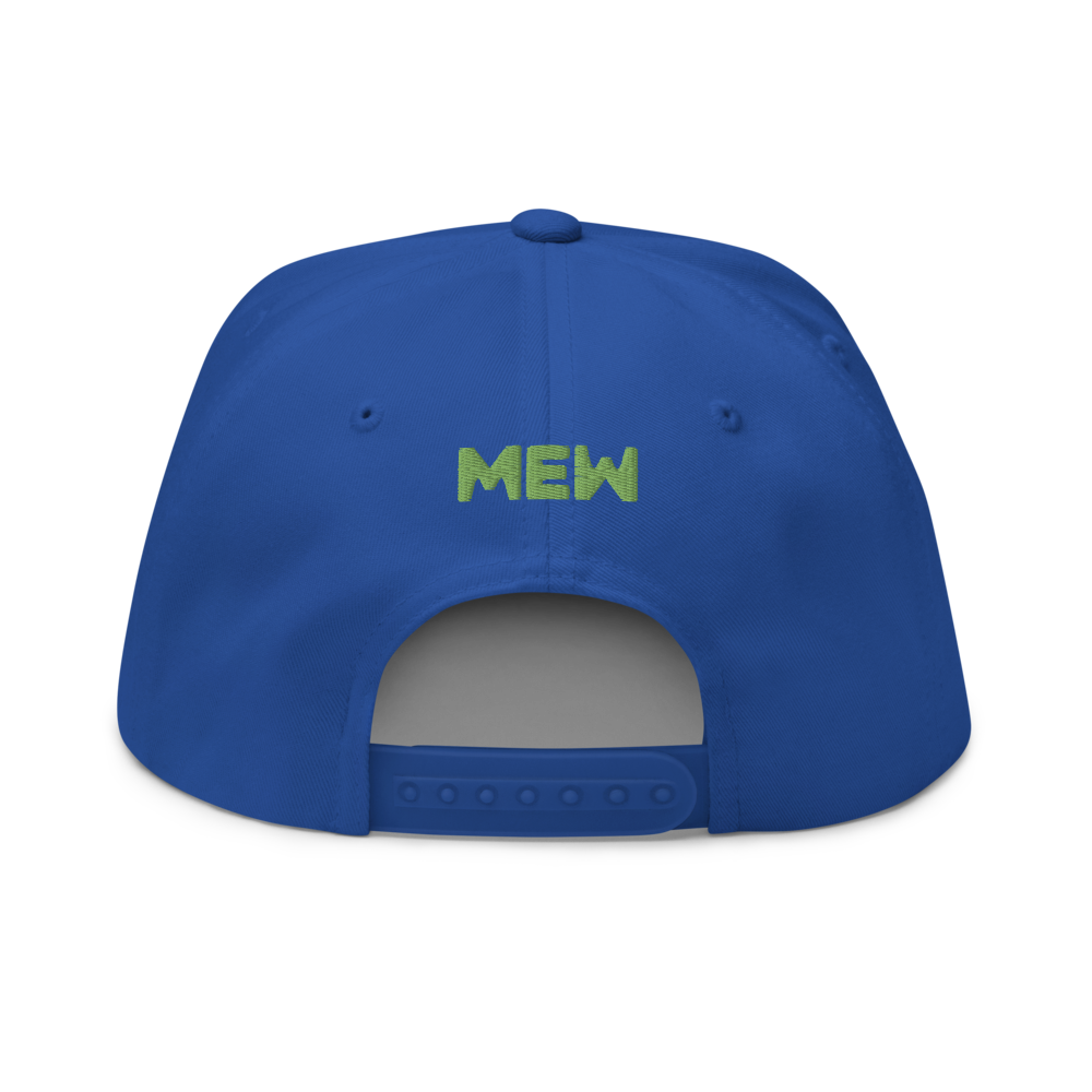 flat bill cap — view 2