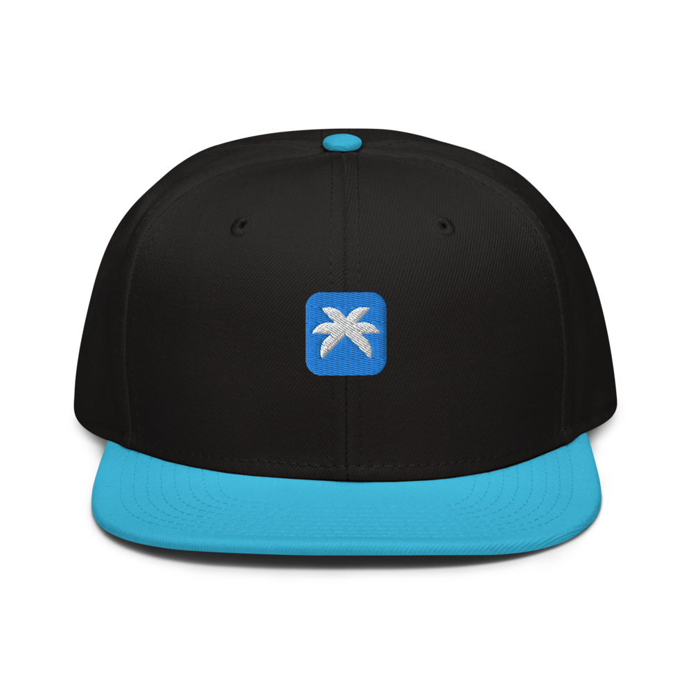 PaLMAI Embroidered Snapback