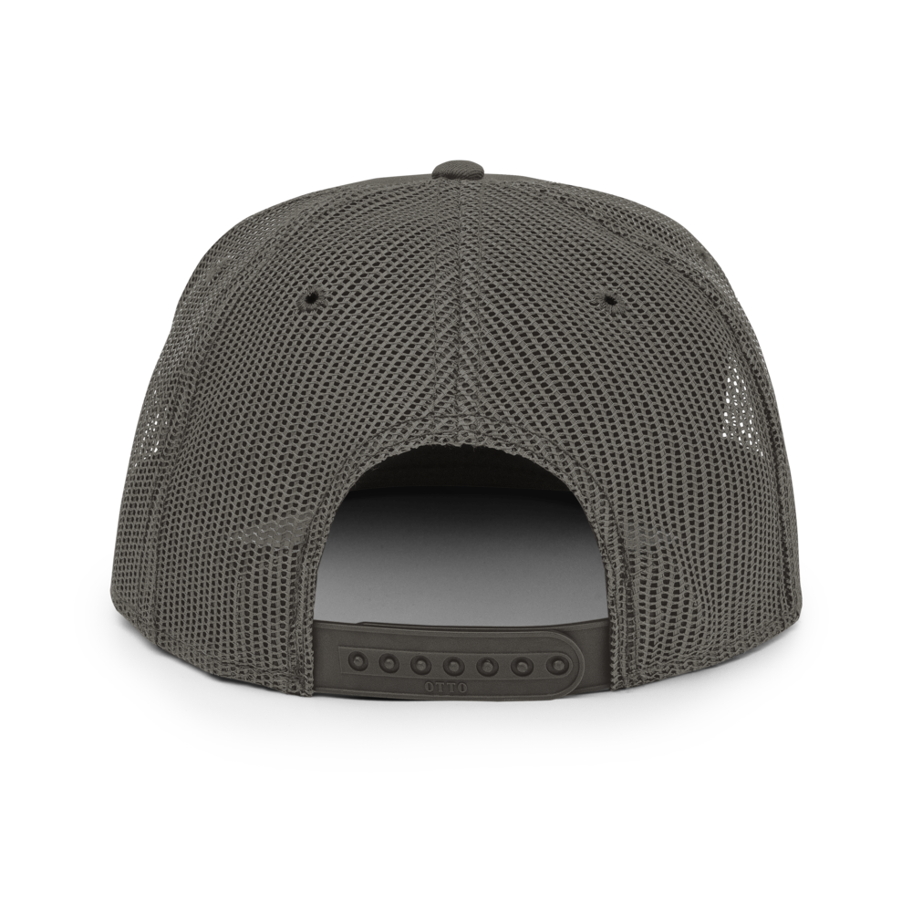 QT Snapback — view 2