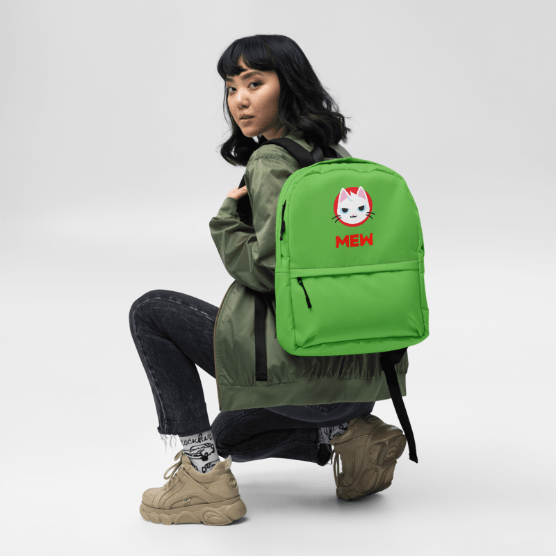 the backpack — view 2