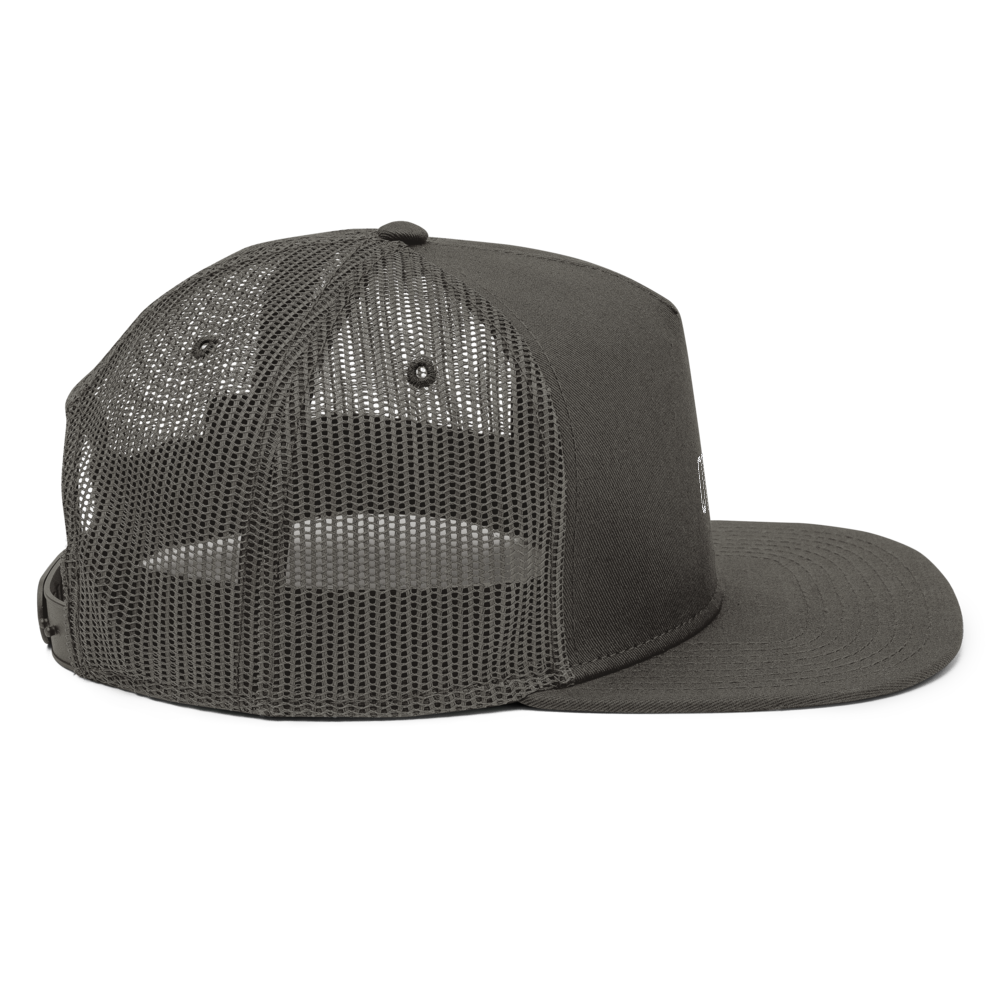 QT Snapback — view 4