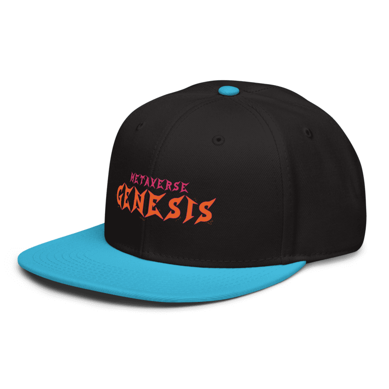 Snapback | Otto Cap 125-978