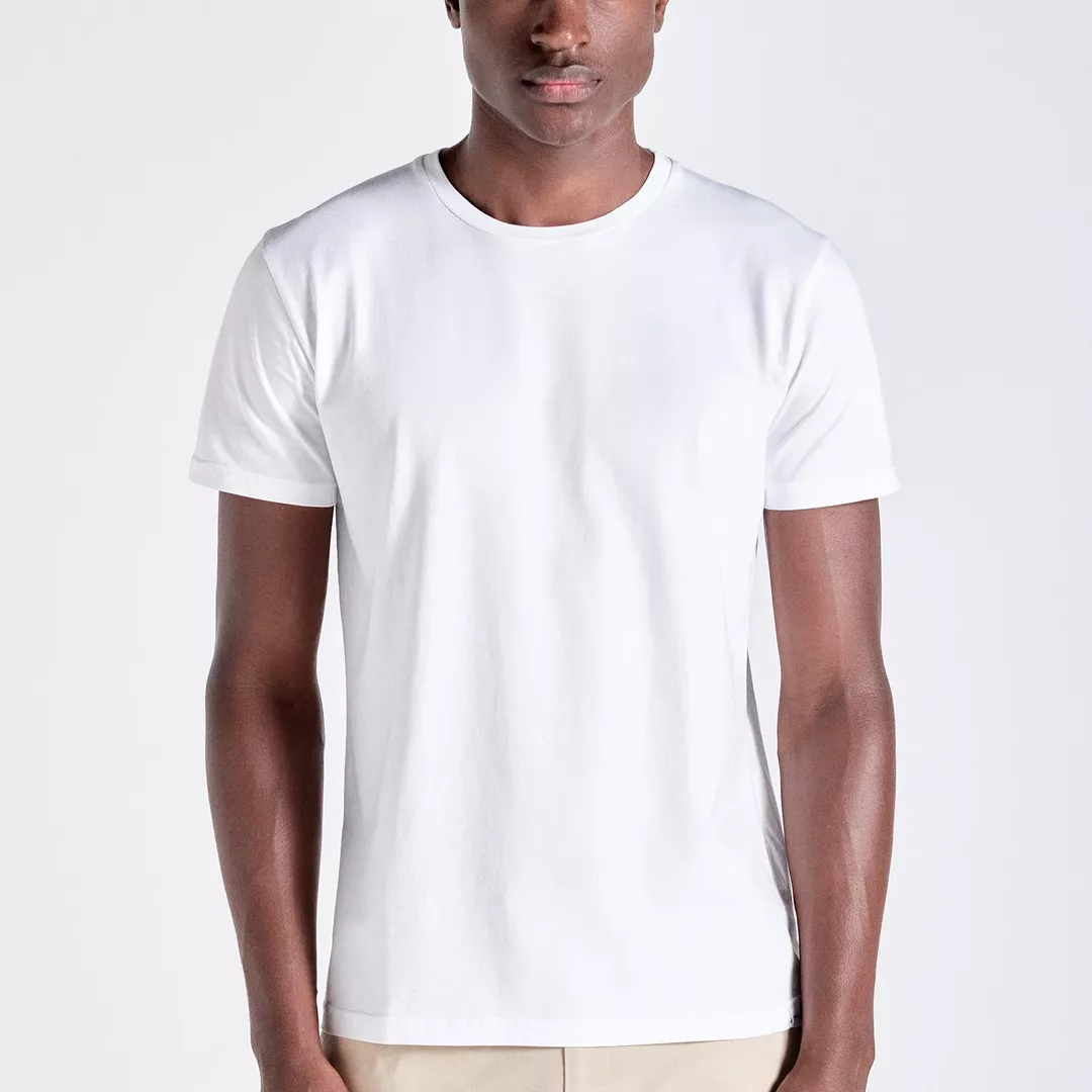 Das Perfekte T-Shirt